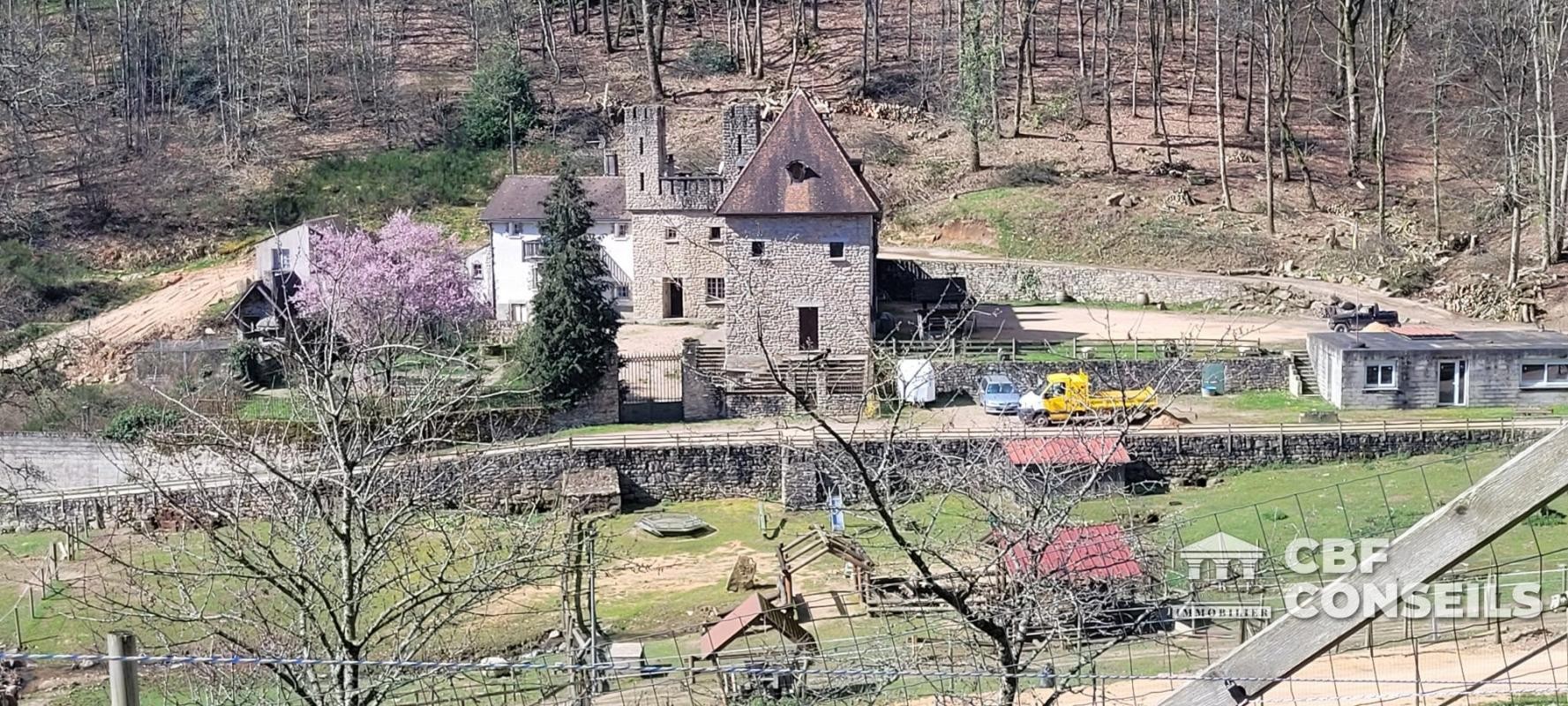 Vente Maison à Saint-Sernin-du-Bois 17 pièces