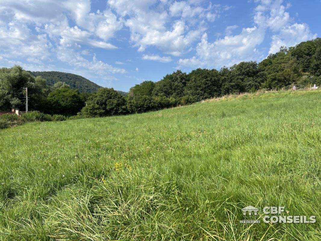 Vente Terrain à Saint-Sernin-du-Bois 0 pièce