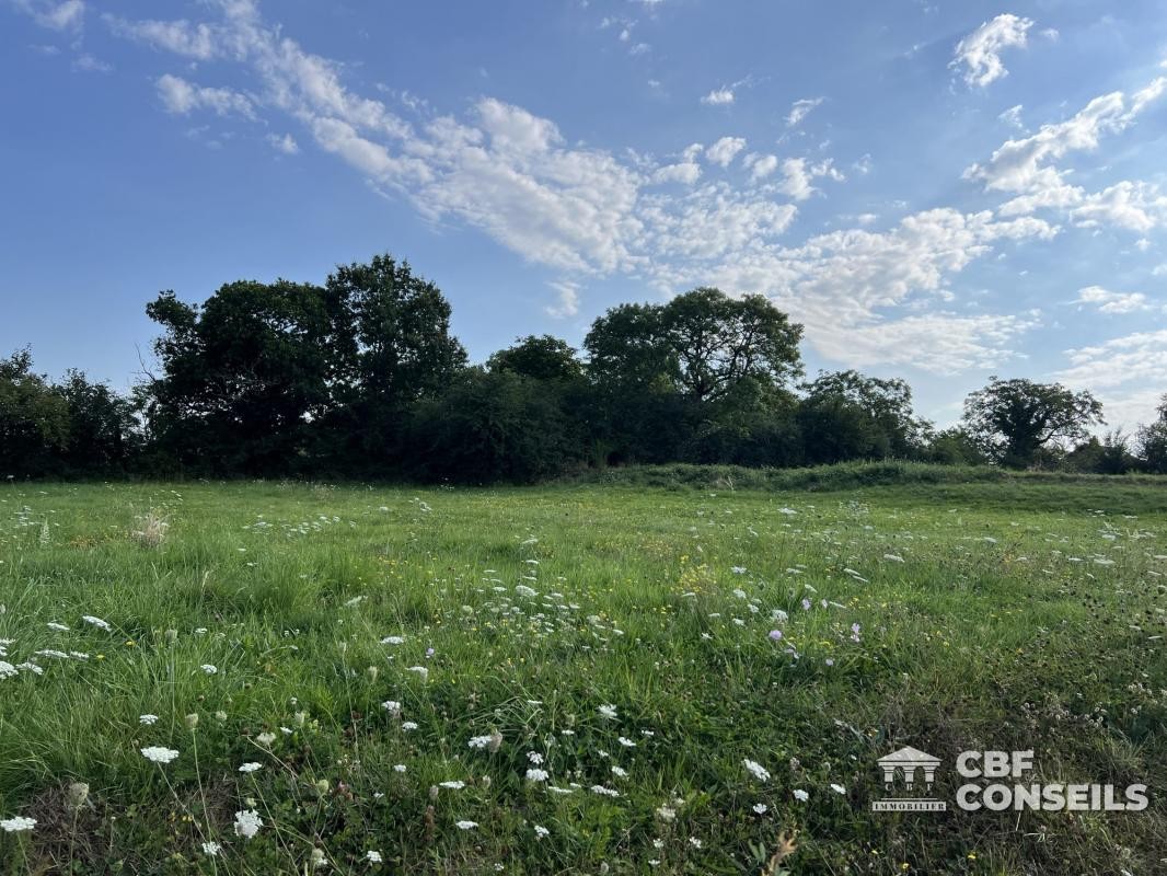 Vente Terrain à Saint-Sernin-du-Bois 0 pièce