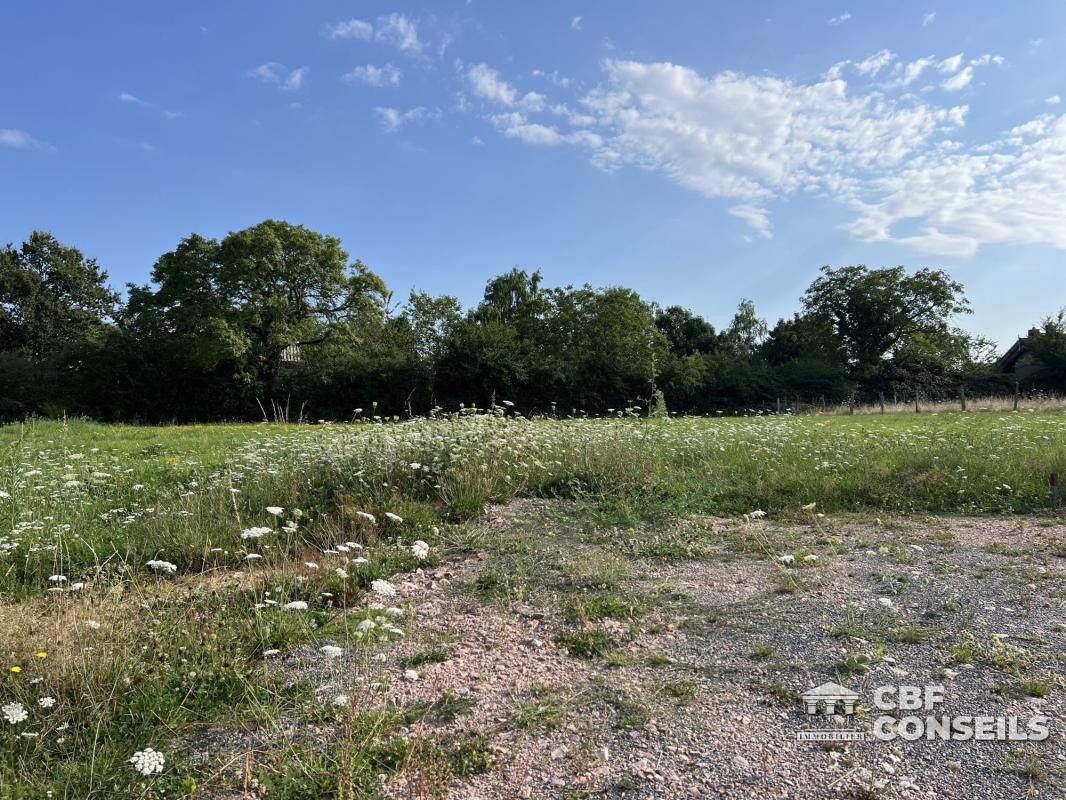 Vente Terrain à Saint-Sernin-du-Bois 0 pièce