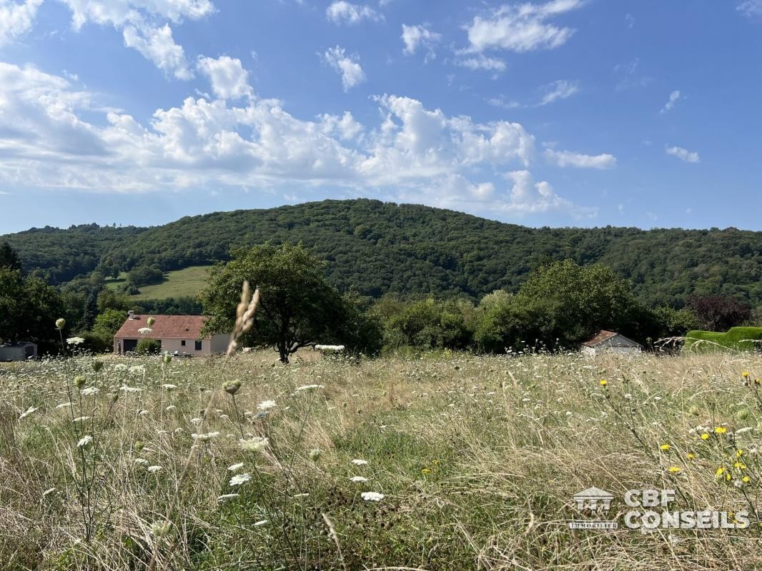 Vente Terrain à Saint-Sernin-du-Bois 0 pièce