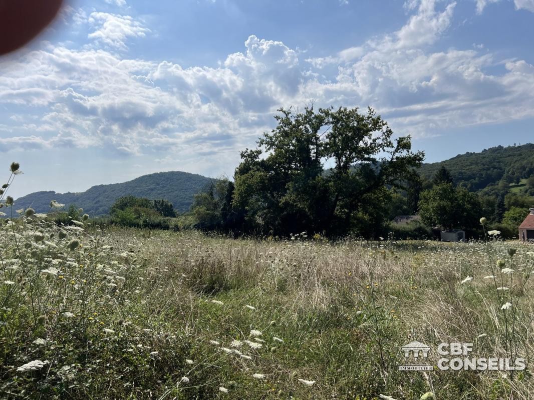 Vente Terrain à Saint-Sernin-du-Bois 0 pièce