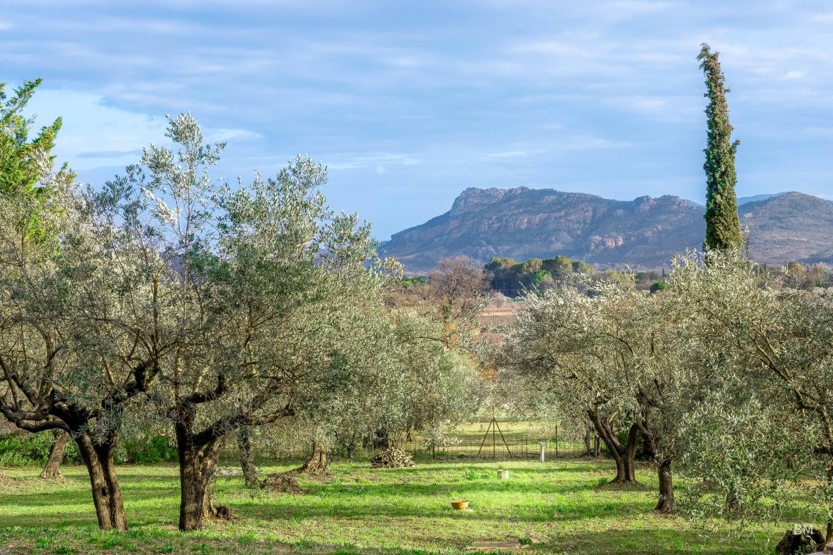 Vente Maison à la Motte 5 pièces