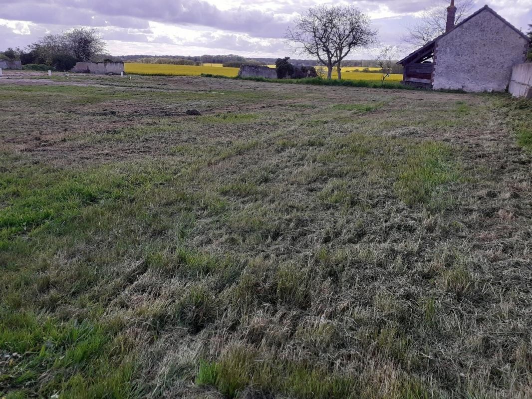 Vente Terrain à Châteauneuf-en-Thymerais 1 pièce