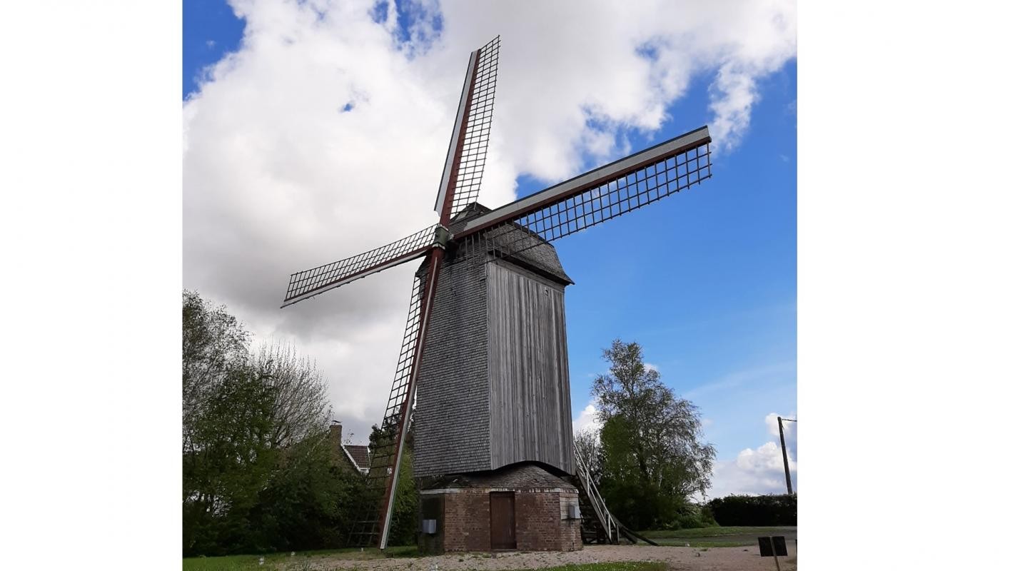 Vente Terrain à Steenvoorde 0 pièce