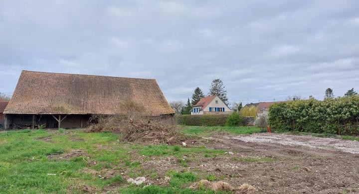 Construction Maison à Algolsheim 5 pièces