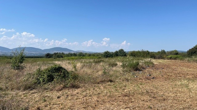 Vente Terrain à Auberives-sur-Varèze 0 pièce