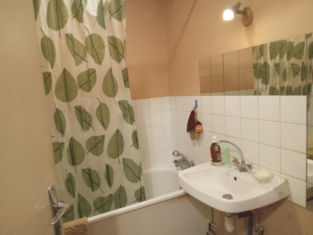 Location Appartement à Villeurbanne 3 pièces