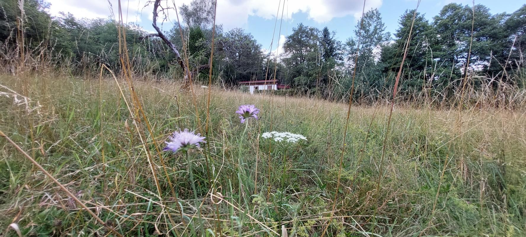 Vente Maison à Belfort 2 pièces