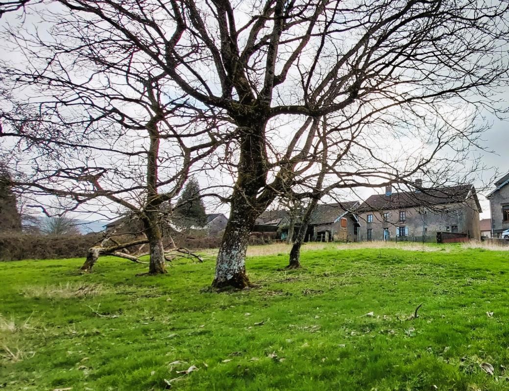 Vente Maison à Remiremont 6 pièces