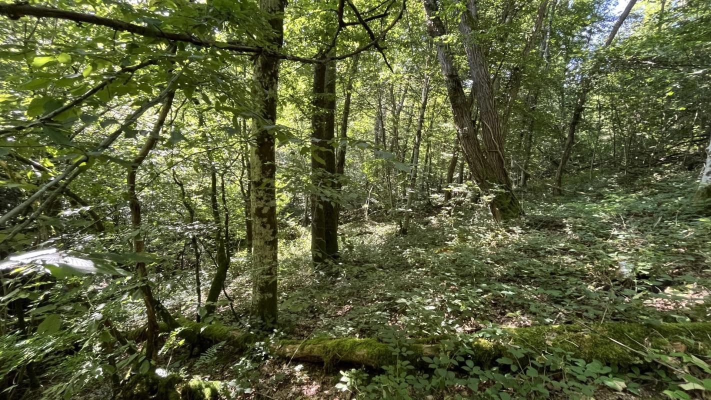 Vente Terrain à Autun 0 pièce