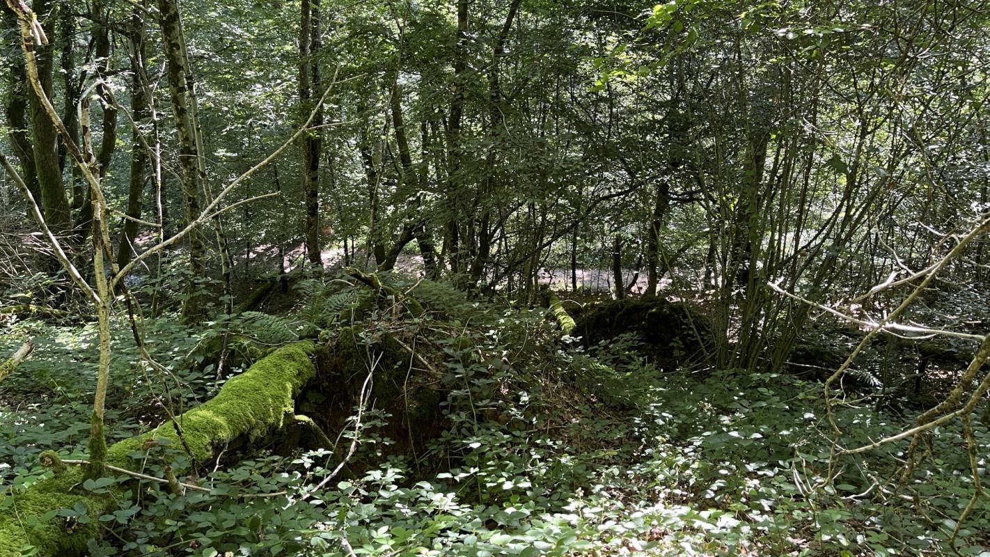 Vente Terrain à Autun 0 pièce