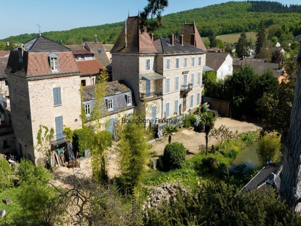 Vente Maison à Tournus 16 pièces