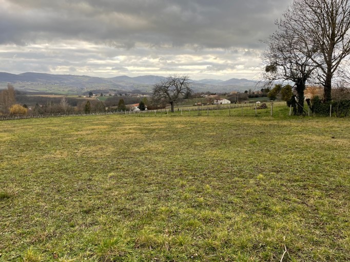 Vente Terrain à la Roche-Vineuse 0 pièce