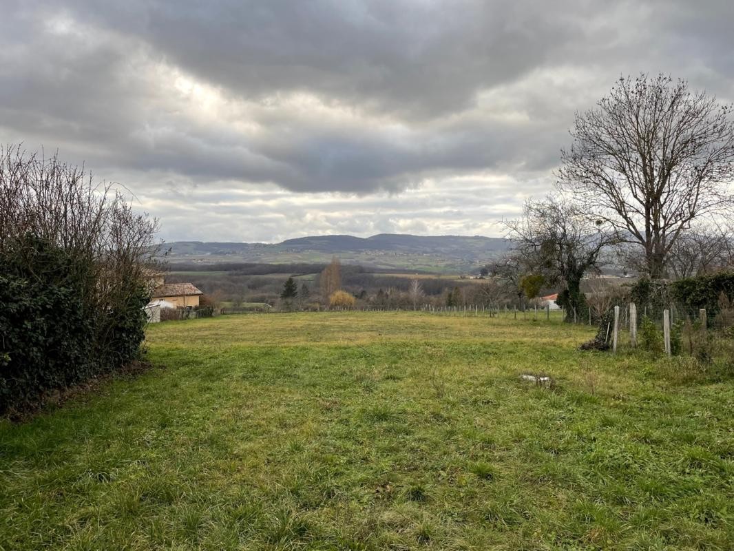 Vente Terrain à la Roche-Vineuse 0 pièce