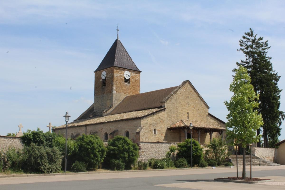 Vente Terrain à Replonges 0 pièce