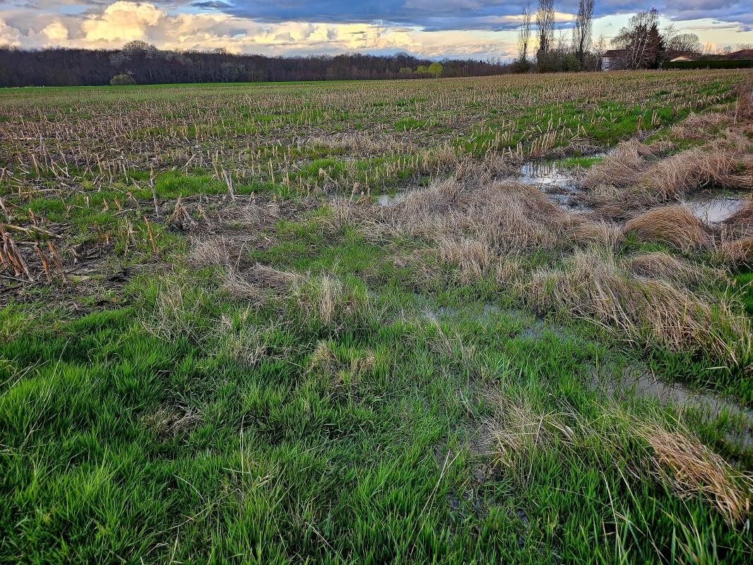 Vente Terrain à Viré 0 pièce