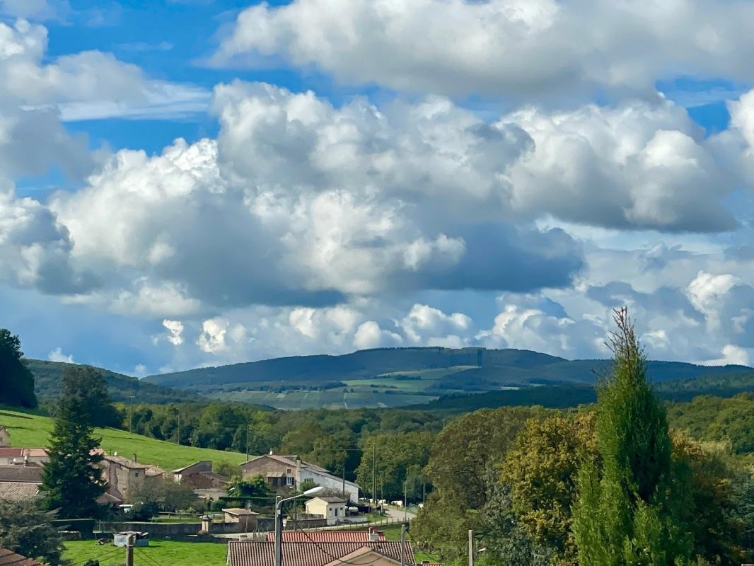 Vente Terrain à Laizé 0 pièce