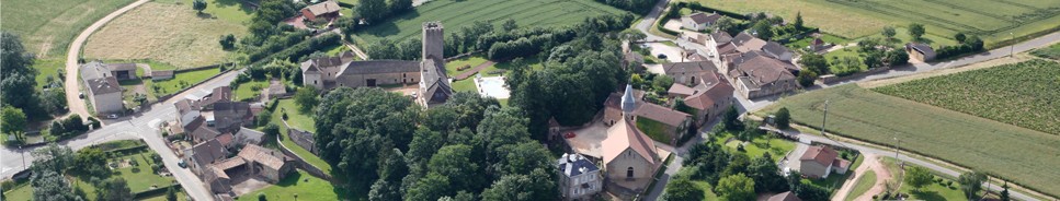 Vente Terrain à Laizé 0 pièce