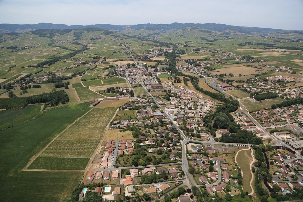 Vente Terrain à la Chapelle-de-Guinchay 0 pièce