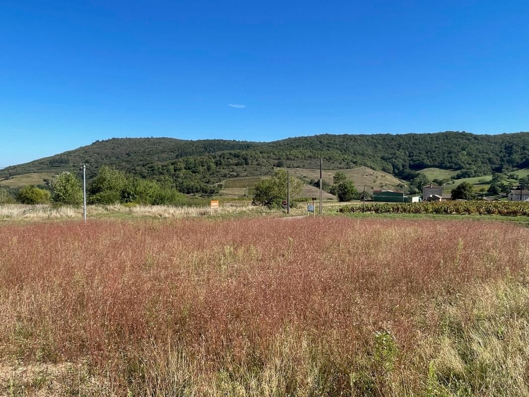 Vente Terrain à la Chapelle-de-Guinchay 0 pièce