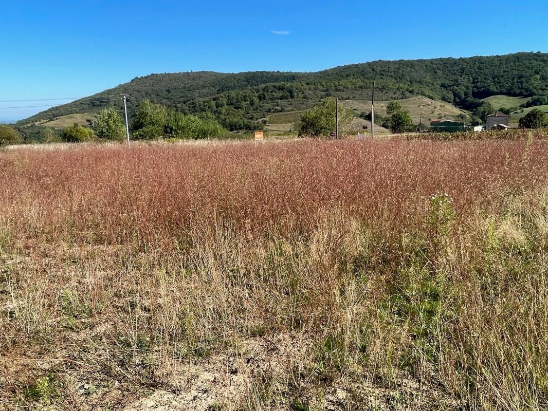 Vente Terrain à la Chapelle-de-Guinchay 0 pièce