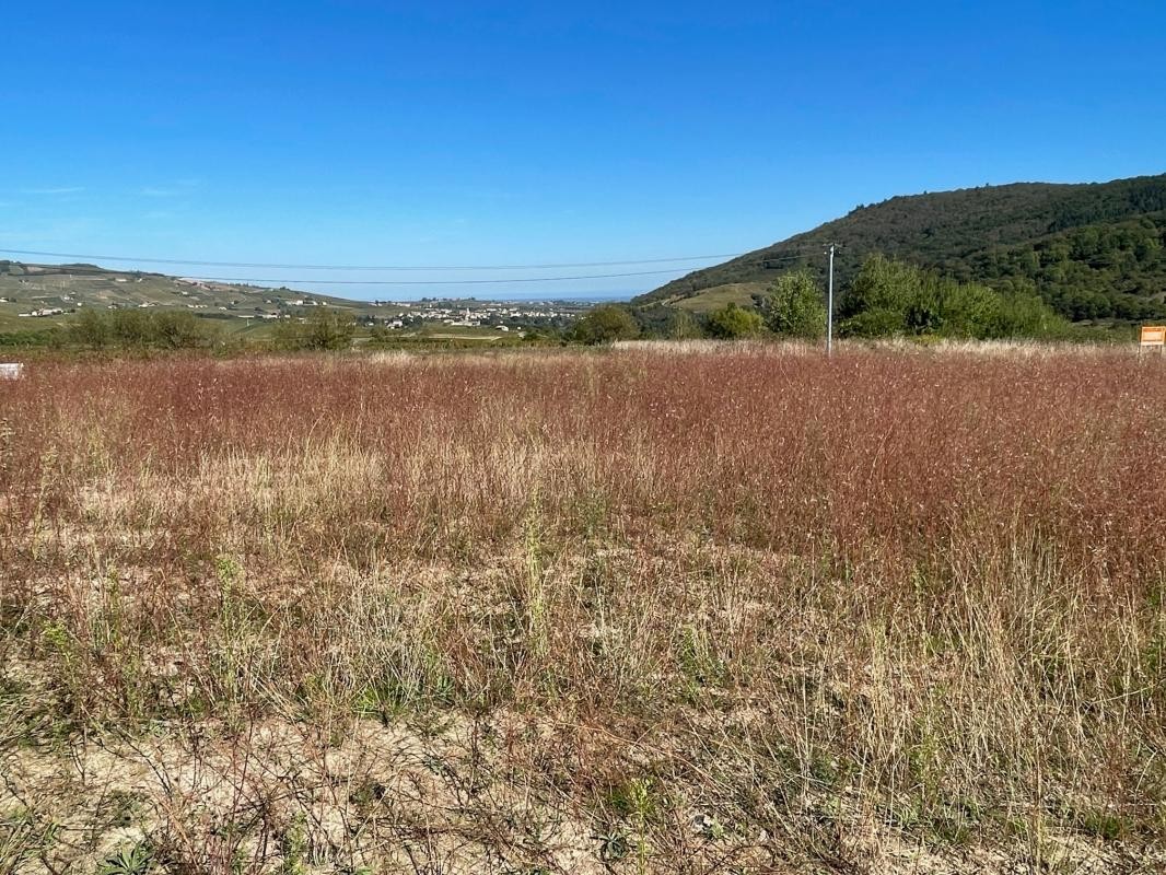 Vente Terrain à la Chapelle-de-Guinchay 0 pièce