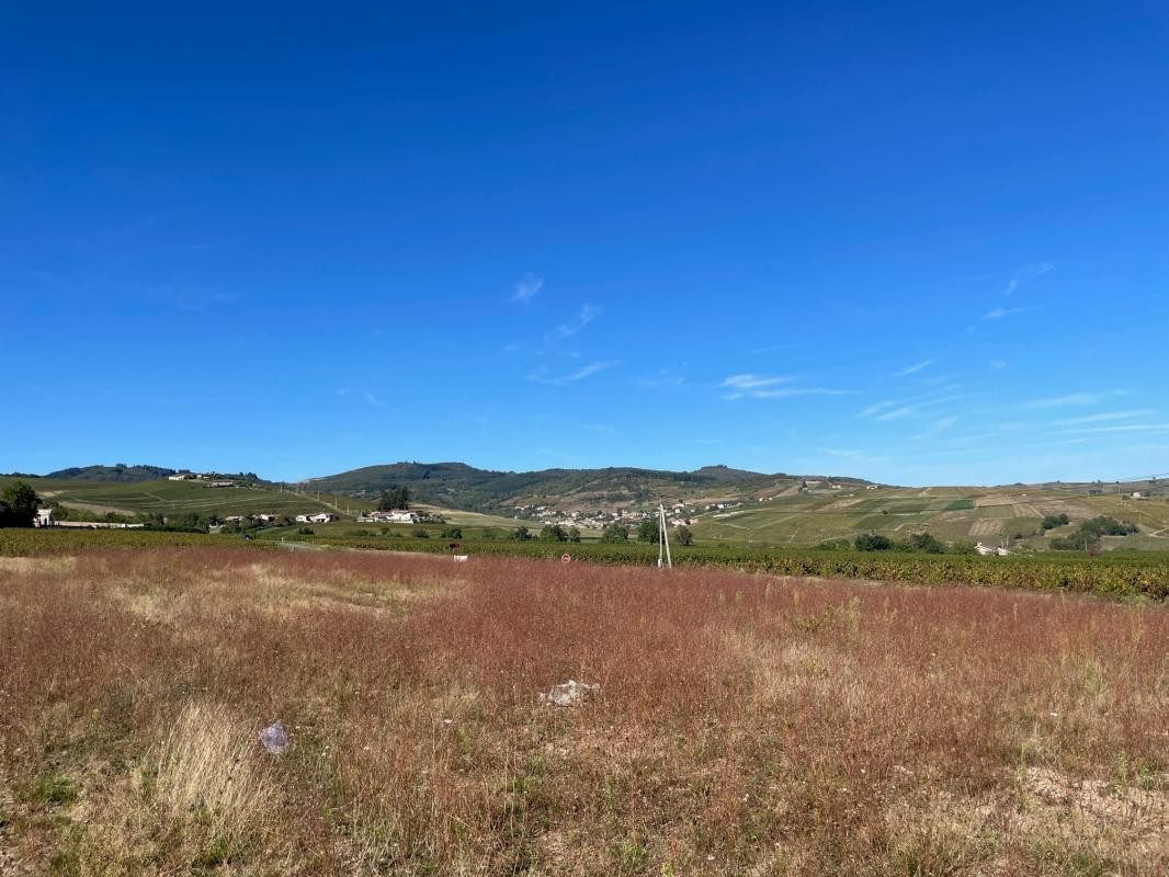 Vente Terrain à la Chapelle-de-Guinchay 0 pièce