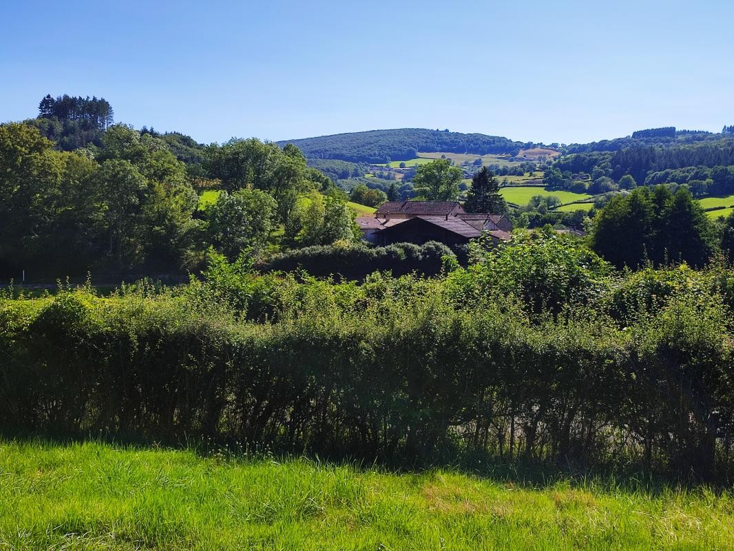 Vente Terrain à Cluny 0 pièce