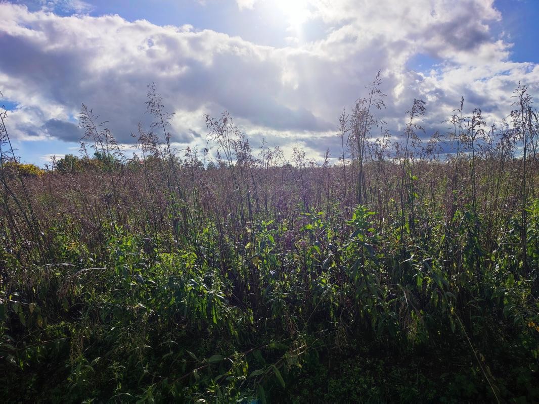 Vente Terrain à Manziat 0 pièce