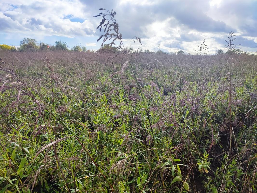 Vente Terrain à Manziat 0 pièce