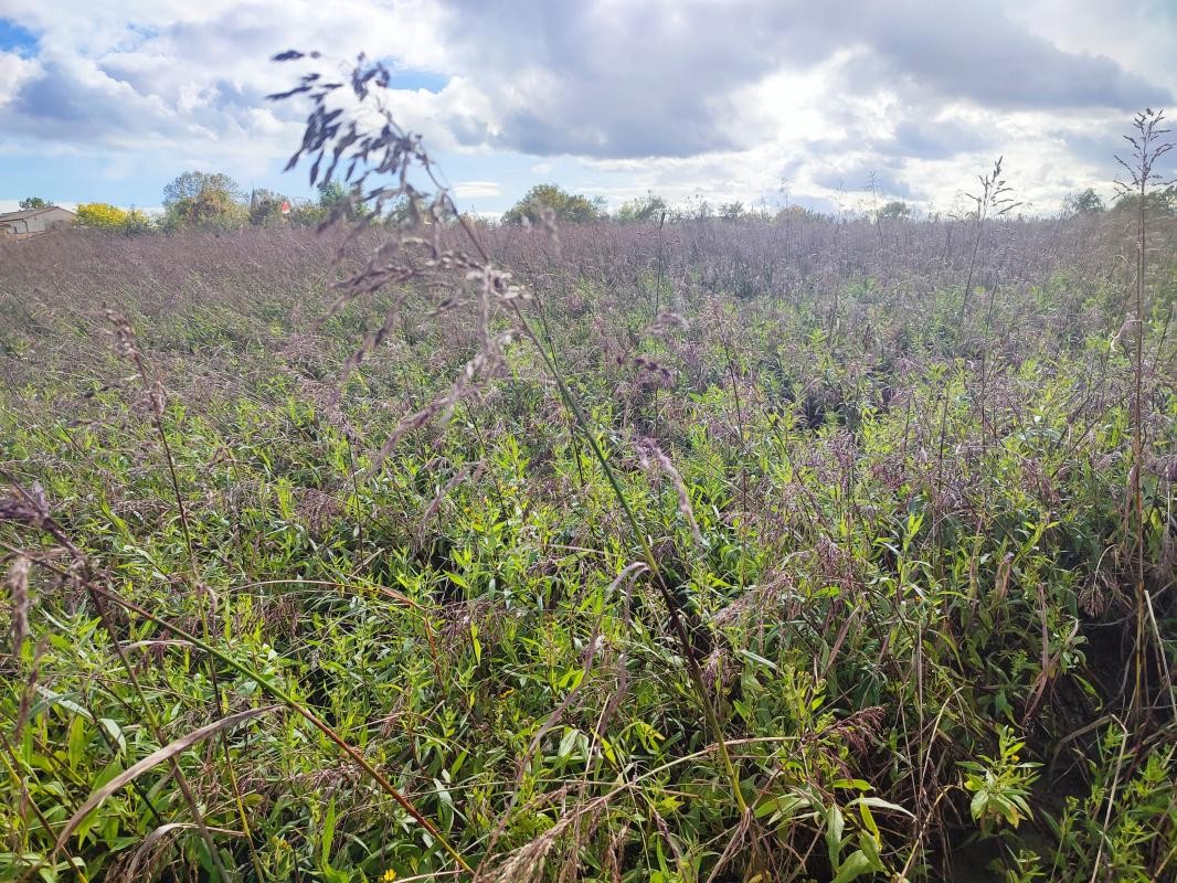 Vente Terrain à Manziat 0 pièce