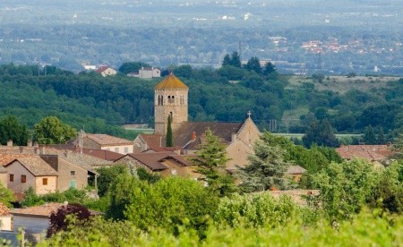 Vente Terrain à Hurigny 0 pièce