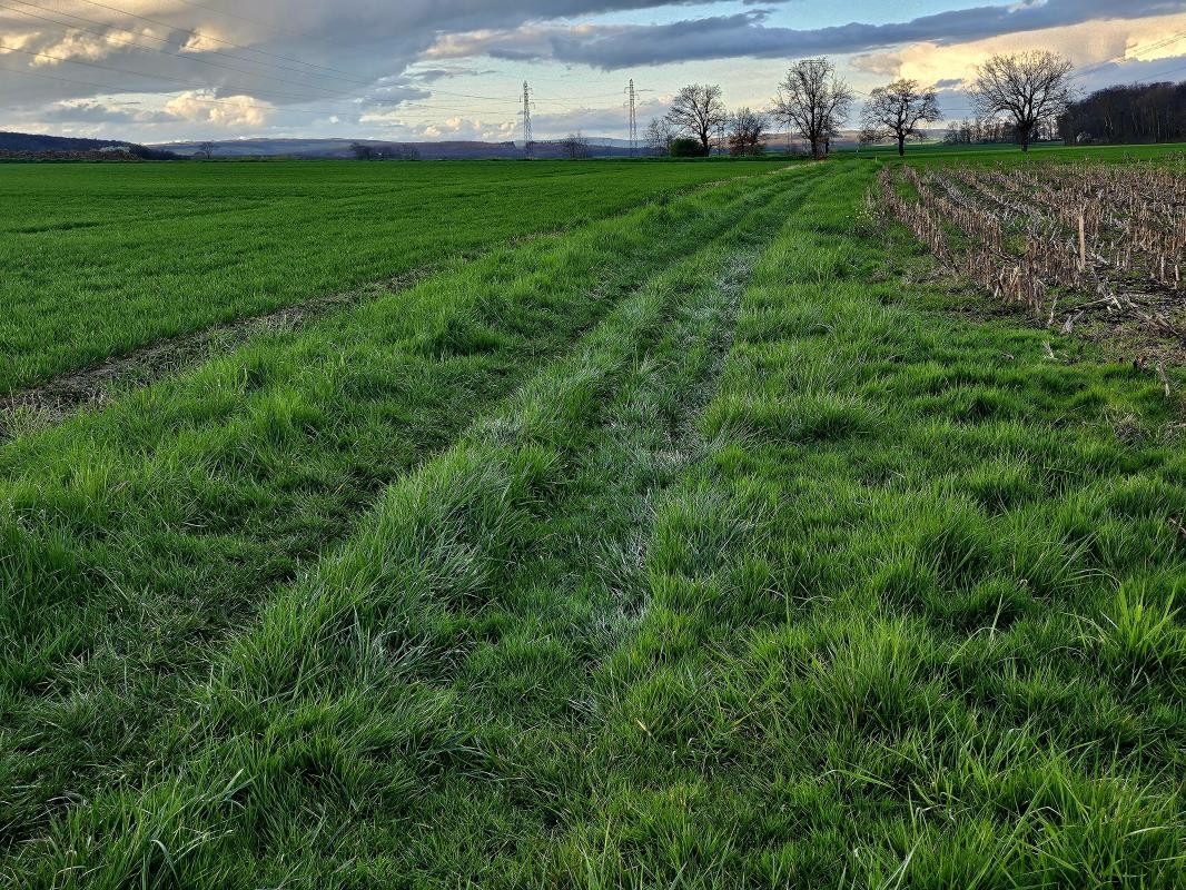 Vente Terrain à Viré 0 pièce