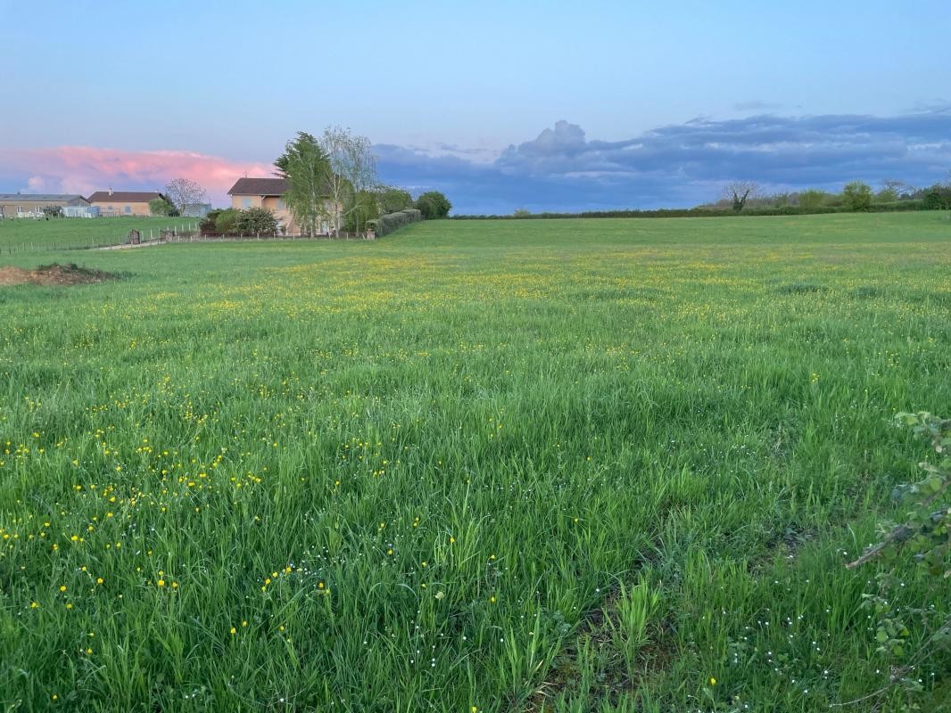 Vente Terrain à Laizé 0 pièce