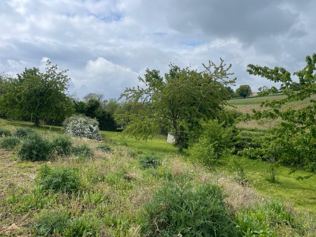 Vente Terrain à Hurigny 0 pièce