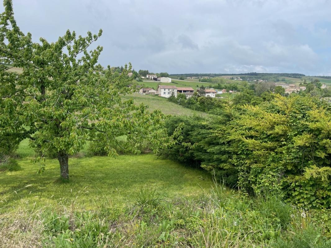 Vente Terrain à Hurigny 0 pièce