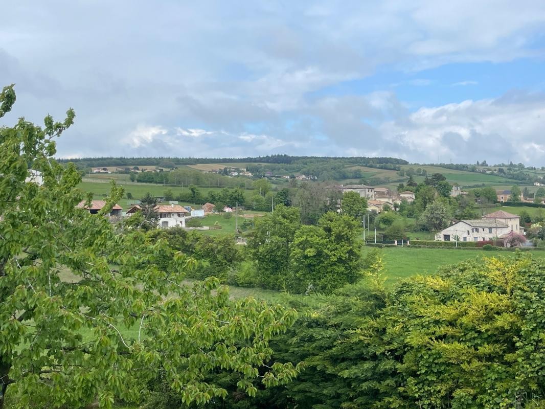 Vente Terrain à Hurigny 0 pièce