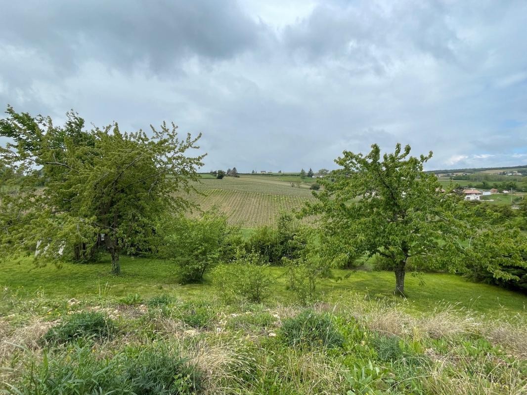 Vente Terrain à Hurigny 0 pièce