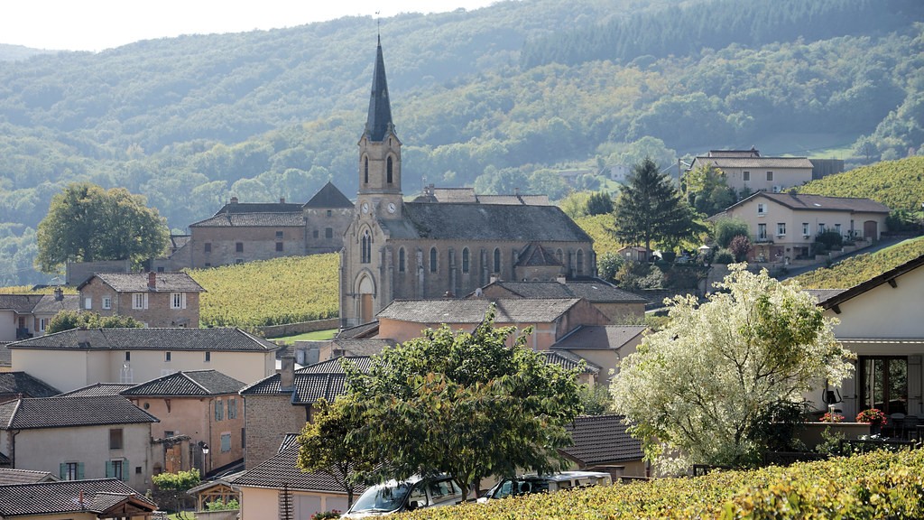 Vente Terrain à Prissé 0 pièce