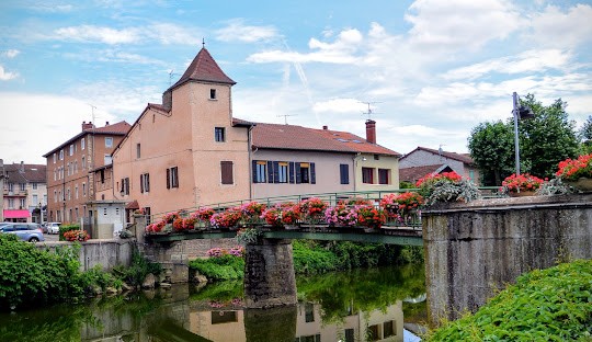 Vente Terrain à Pont-de-Vaux 0 pièce