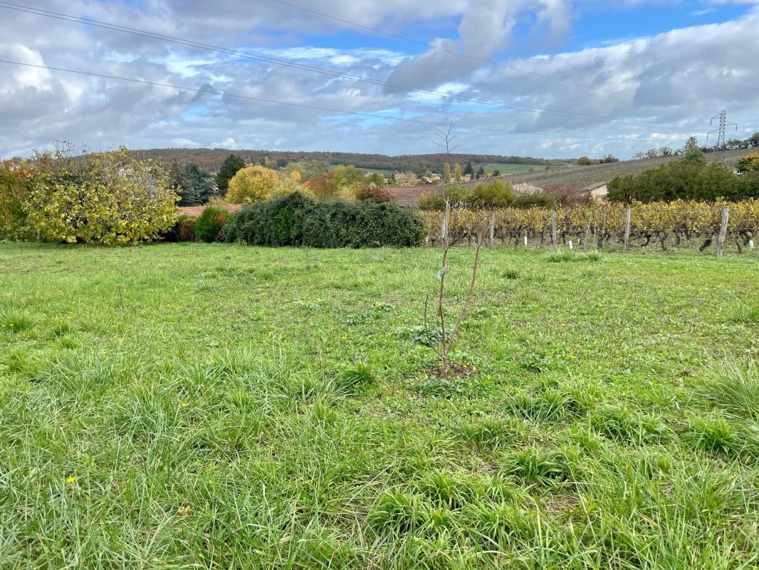 Vente Terrain à Hurigny 0 pièce