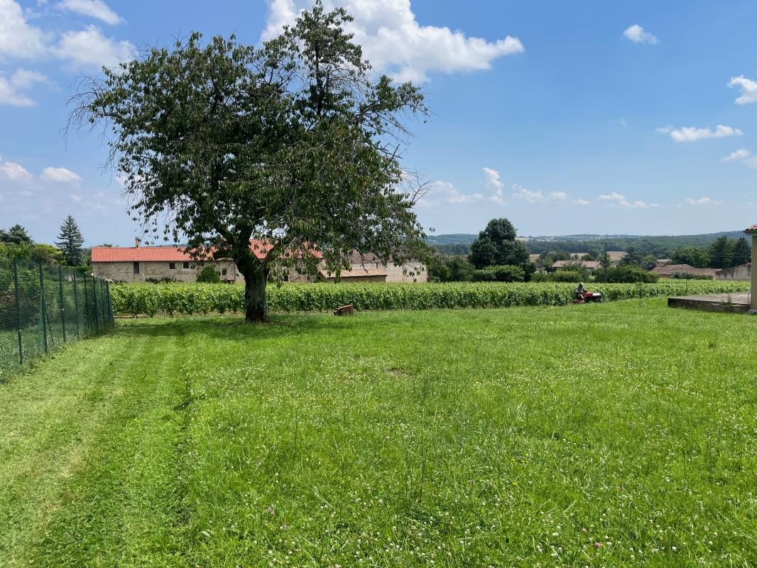 Vente Terrain à Clessé 0 pièce