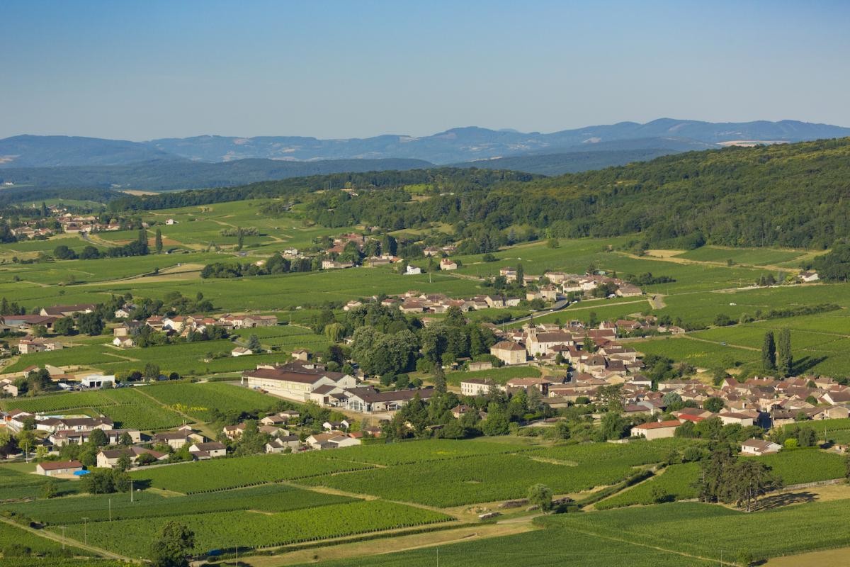 Vente Terrain à Clessé 0 pièce