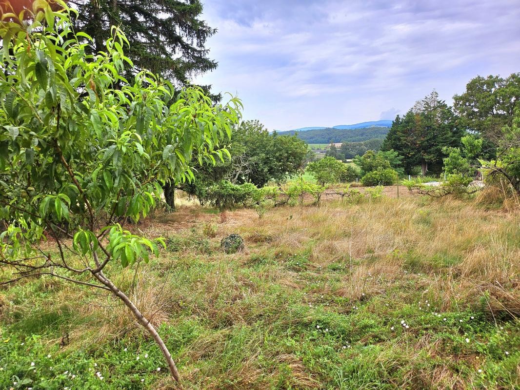 Vente Terrain à Charnay-lès-Mâcon 0 pièce