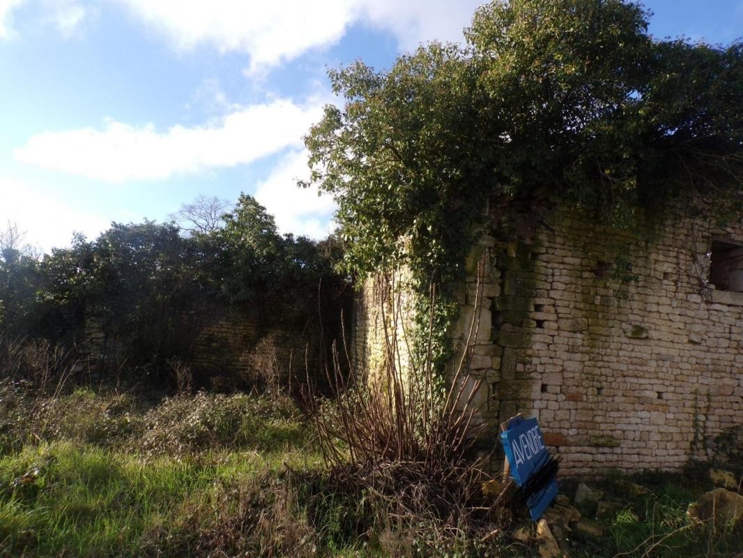 Vente Terrain à Benet 0 pièce