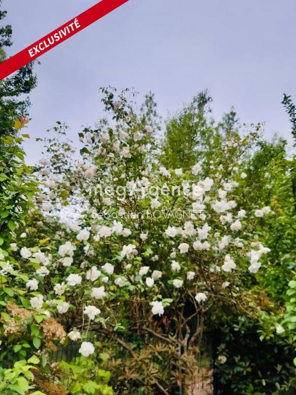 Vente Terrain à le Mans 0 pièce