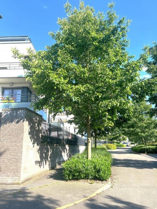 Vente Appartement à Linselles 2 pièces