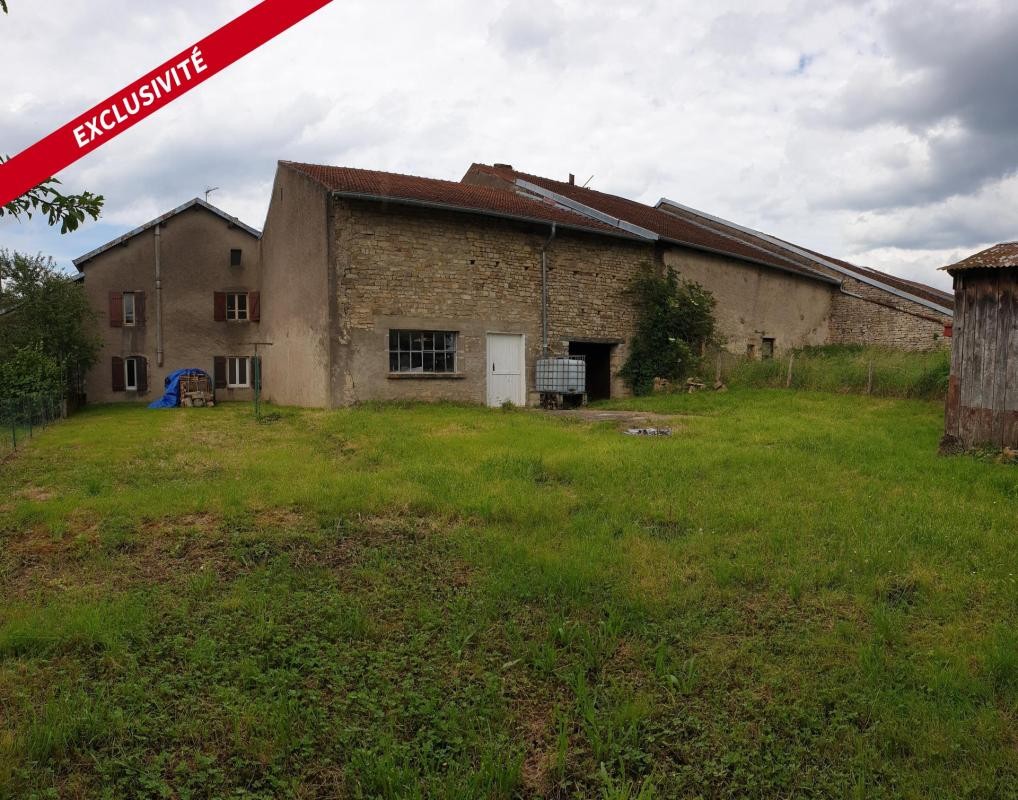 Vente Maison à Amance 7 pièces