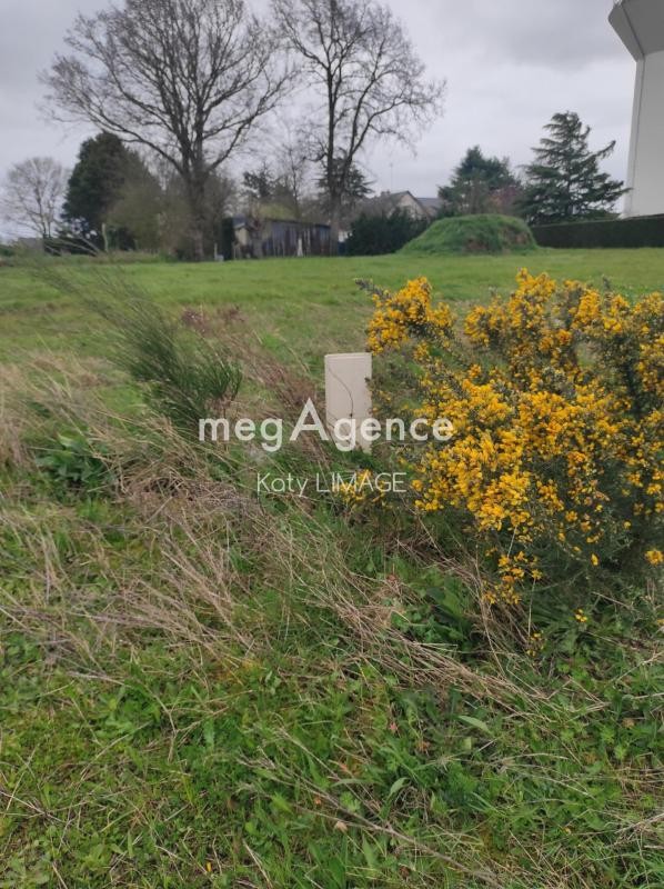 Vente Terrain à Commer 0 pièce